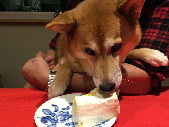 hime loved the cake